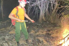 Всю ночь продолжалось тушение лесного пожара в Усть-Лабинском районе