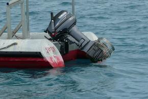 Второй раз за сутки: катер покалечил туристку у берегов Сочи