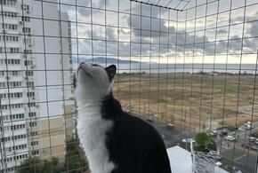 Жару разбавит дождь: о погоде на Кубани 14 августа