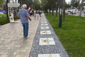 Звёзды бокса и спортивного телевидения: в Краснодаре торжественно открыли первую в России Аллею славы бокса ЮФО 