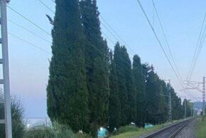 59-летняя женщина погибла под колесами электрички в Сочи