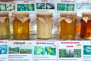  Фермеры собираются предложить мед десятков сортов на ярмарках выходного дня в Краснодаре