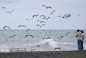 Как долго продлится тепло: синоптики рассказали о погоде в Краснодарском крае на октябрь