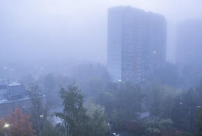 Кубань накроют ветра и дожди