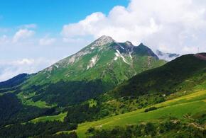 Назревает крупный скандал: Верховный суд истребовал 35 дел по изъятым земельным участкам в нацпарке Сочи