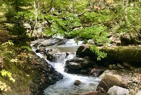 Ночью осень, днём лето: синоптики рассказали, какая погода ждёт жителей Кубани 26 сентября 