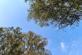 Погода на неделю с 30 сентября по 6 октября на Кубани