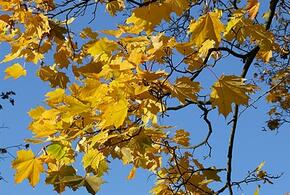 Повышение штрафов и зарплат: что изменится в России с 1 октября