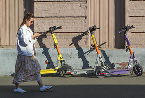 Пожар начался после падения обломков БПЛА, медведь растерзал отца и сына: что произошло, пока вы спали