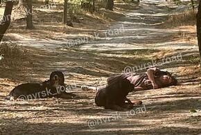 Собаки не подпускали врачей к упавшей в обморок женщине в Новороссийске