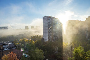 Судью застрелили прямо в его кабинете, а таксист-мигрант избил битой многодетную мать: что произошло, пока вы спали