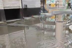 В Музыкальном микрорайоне Краснодара жуткий запах мучает жителей долгое время