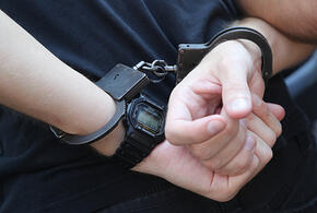 Жителя Сочи задержали при попытке незаконной продажи GPS-трекера для слежки за людьми