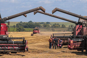 Житница России: Кубань добилась крупных успехов в развитии АПК