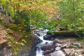 И снова солнечно и тепло: синоптики рассказали, какая погода ждёт кубанцев в пятницу,4 октября