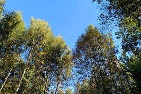 Какой будет погода на Кубани сегодня, 10 октября, рассказали синоптики