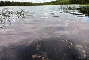 И это уже не первая попытка, мэрия Краснодара в прошлом году расторгла с подрядчиком контракт на создание проекта благоустройства Карасунов