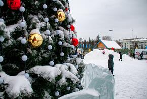 Самыми популярными курортами стали Сочи и Анапа