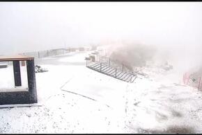 Метелица метет: в Сочи выпал первый снег