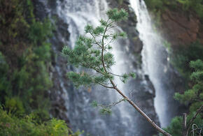 В этом году в список включены 15 популярных направлений