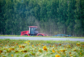 На Кубани строится новый селекционно-семеноводческий центр в Гулькевичском районе
