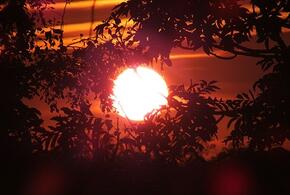 Новые вспышки на солнце могут привести к сильным магнитным бурям уже в четверг