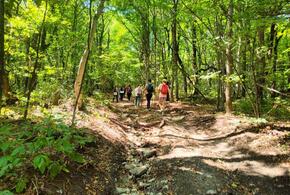 Интервью с руководителем крупнейшего туристско-молодежного сообщества «Турист Кубани» Дмитрием Богдановым 