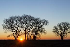 ПВО РФ сбила 47 украинских БПЛА, Трамп выступил за смертную казнь для мигрантов: что произошло, пока вы спали