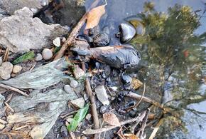 Прохожие обнаружили на берегу минометный снаряд 