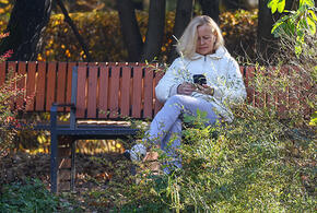 Синоптики предупредили о резком похолодании, краснодарцы жалуются на полчища крыс: ТОП-5 за 31 октября