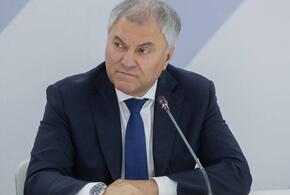 Стоимость высокая, а доступность низкая: в сфере организации детского отдыха есть много проблем, заявил Председатель Госдумы Володин