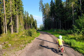 Страшные факты: только за сентябрь на дорогах Кубани погибли пять детей