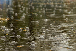 Тепло закончилось: синоптики рассказали, какая погода ждёт кубанцев в среду, 16 октября
