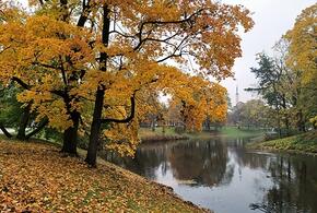 Туристы едут на Кубань: регион стал лидером среди самых популярных внутренних направлений в октябре