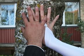 Учёные назвали оптимальную разницу в возрасте для крепкого брака