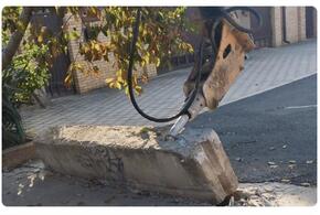 В Краснодаре идет массовая очистка дворов от незаконных заграждений