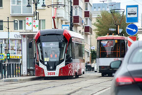 В Краснодаре утвердили проект планировки и межевания территории для строительства трамвайной линии до «Баскет Холла»