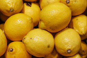 Водитель в спешке собирал фрукты