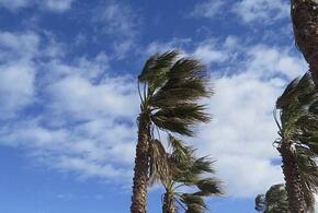 В Сочи в ближайшие часы ожидается шквалистый ветер