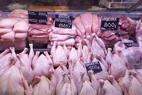 Врач рассказала, какую часть курицы лучше не употреблять в пищу