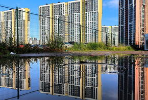 Москва, Санкт-Петербург и Краснодар в приоритете у айтишников