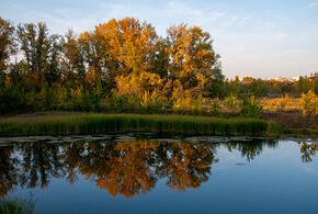 Будет +20: через несколько дней на Кубани ожидается резкое потепление