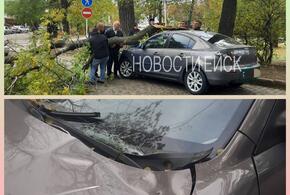 Будьте осторожны: на улицах Ейска под натиском сильного ветра падают деревья