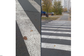 Депутат Гордумы Краснодара советует «не смотреть в зубы дареному коню» 