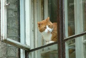 До +17: о погоде на Кубани 13 ноября рассказали синоптики