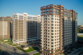 DOGMA PARK: Городская жизнь в гармонии с природой