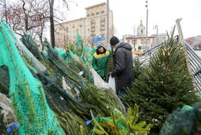 Где и когда откроется первая ёлочная ярмарка в Краснодаре, рассказали в мэрии