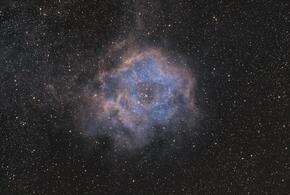 Гороскоп на сегодня, 21 ноября, для всех знаков зодиака