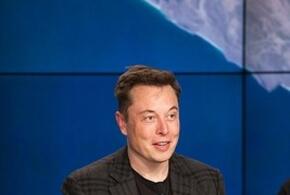 Илон Маск может стать кубанским казаком