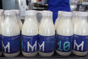 Дольше сохраняется чувство сытости